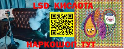 амф Донской