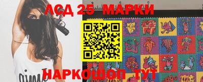 амф Донской